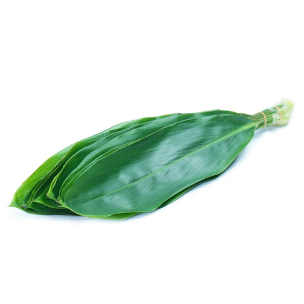 Green Ti Leaf